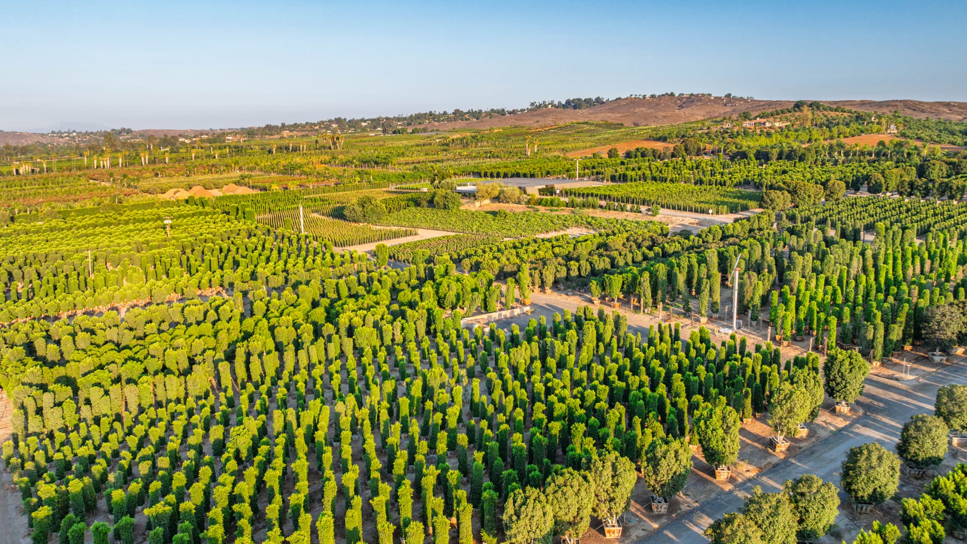 Wholesale_Overhead_Farm_Shot.jpg