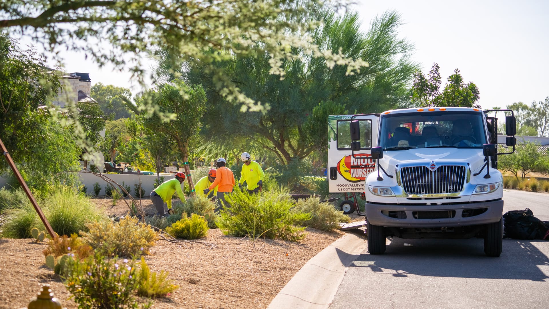 A photo of Moon Valley Nurseries® planting crew replacing a customers trees.