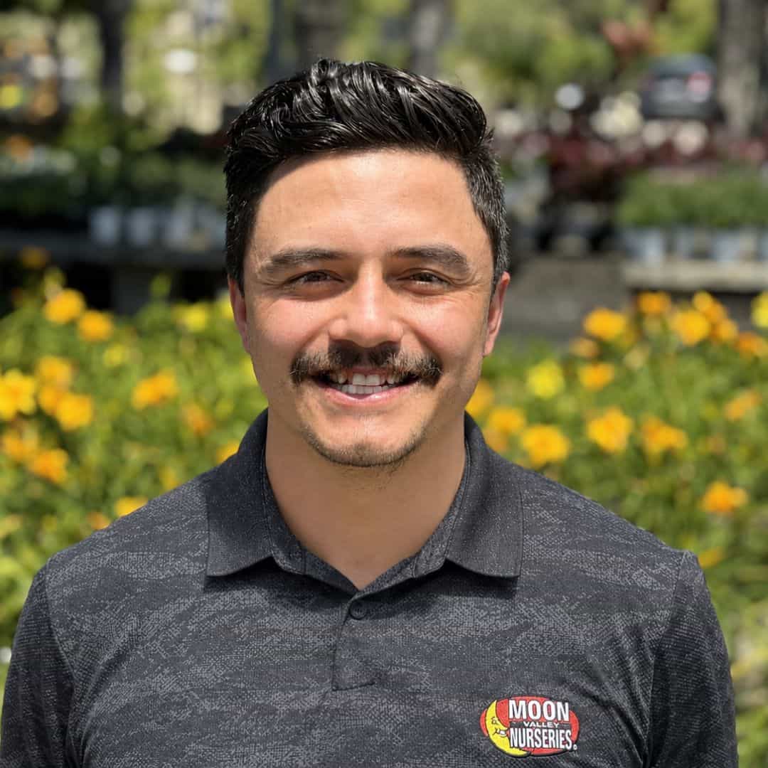 Marquez Mejia