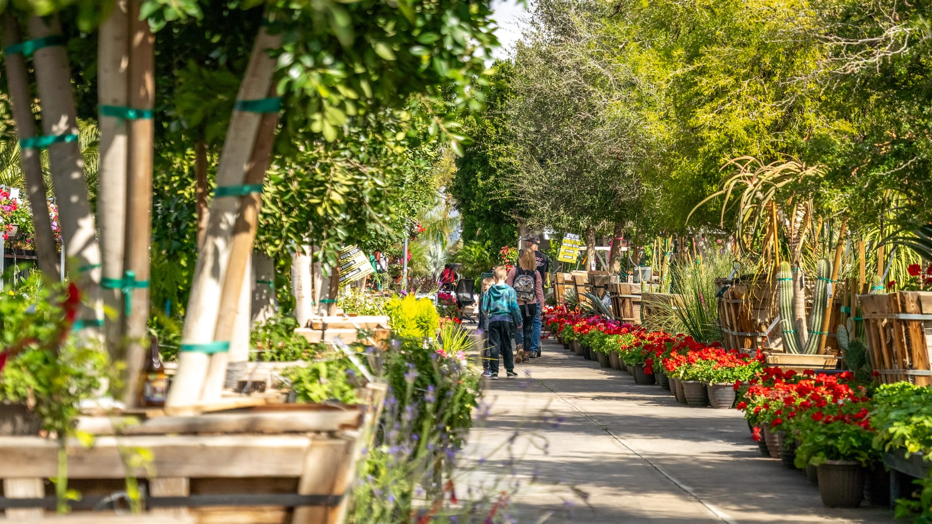 Customers walking casually through a Moon Valley Nurseries location.