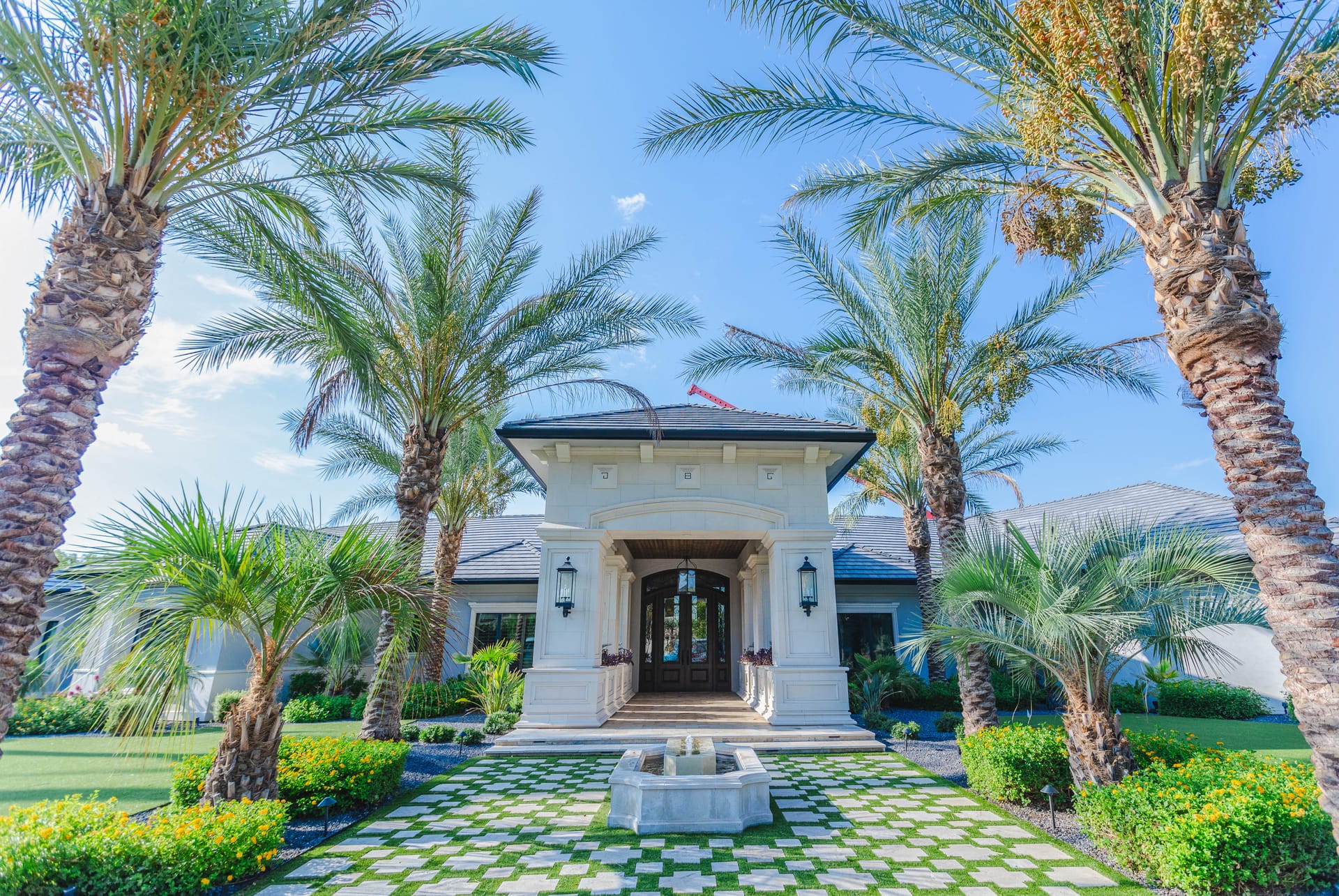 A luxury home walkway lined with premium Date Palms from Moon Valley Nurseries®.