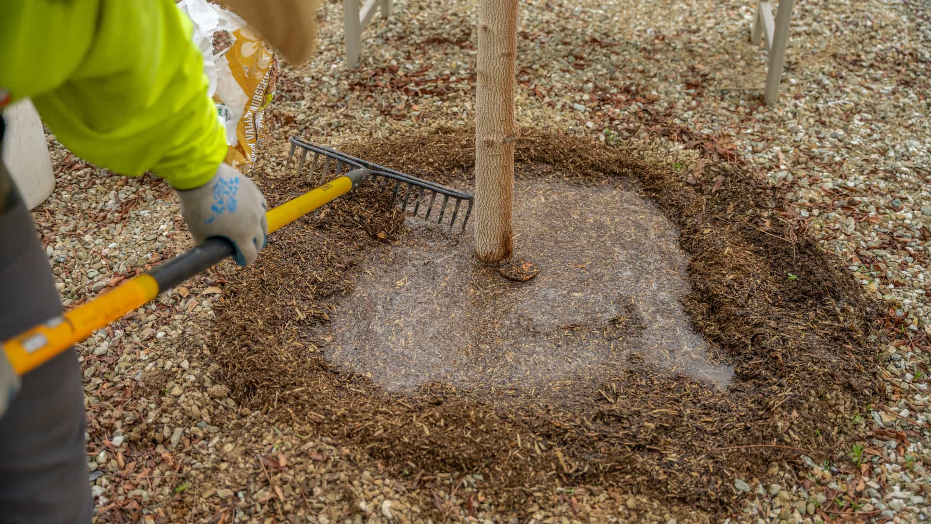 MVP Pro Care Specialist raking a recently watered mulch well.