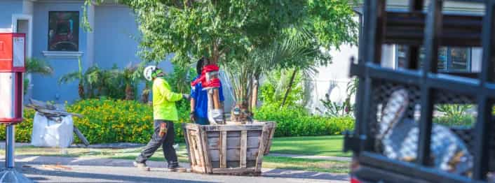 Moon Valley Nurseries Planting a Tree