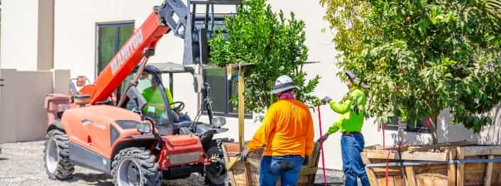 Moon Vally Nurseries Planting trees