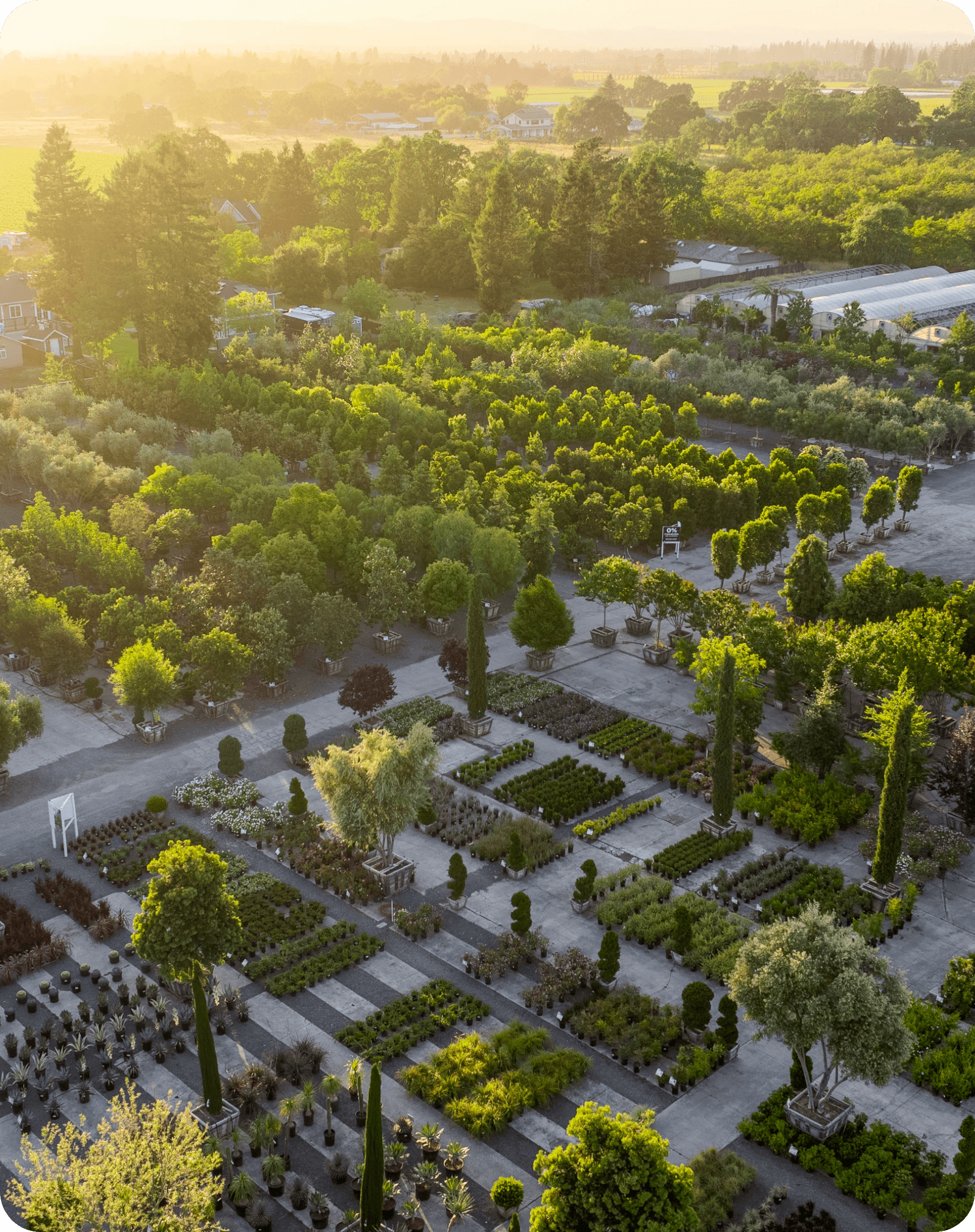 Beautiful overhead shot of a Moon Valley Nurseries® location at sunset.