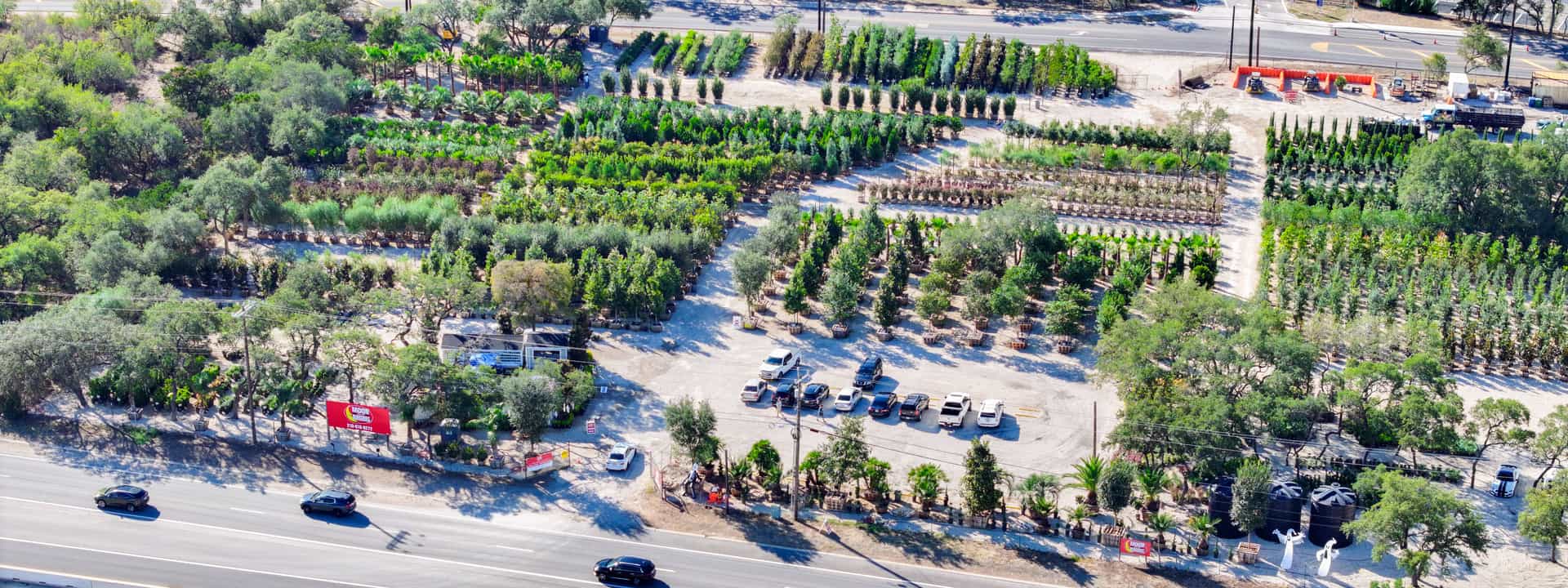 Moon Valley Nurseries San Antonio