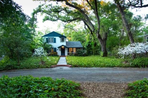 Grant Beuter, vice president of training and sales at Moon Valley Nurseries, revealed the best trees to make your home cool and reduce energy bills (stock image)