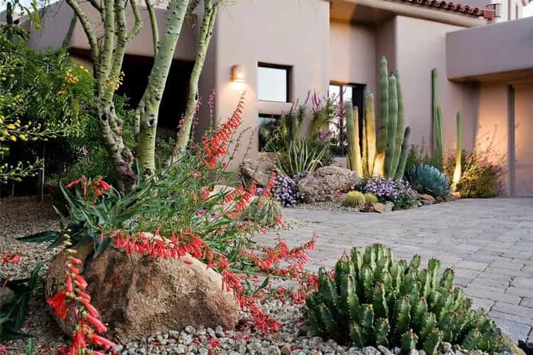 consider-xeriscaping-to-save-water.jpg