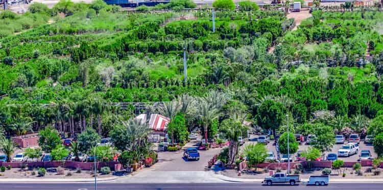moon-valley-nurseries-2021-esg-report.jpg