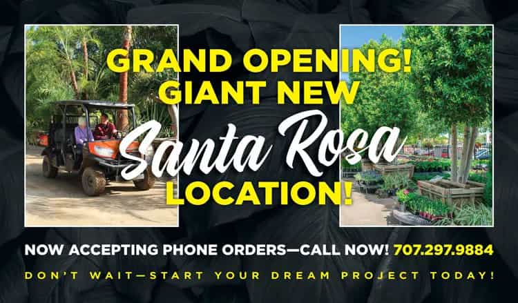 moon-valley-nurseries-opens-new-store-in-santa-rosa.jpg