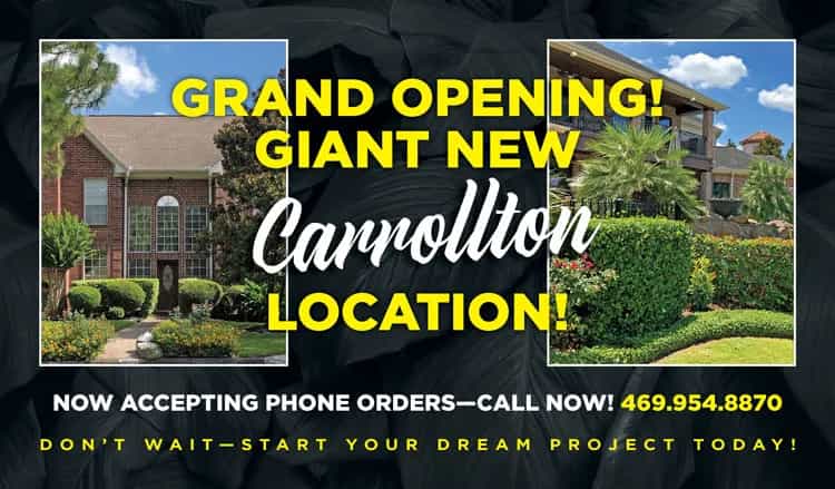 mvn carrollton grand opening.jpg