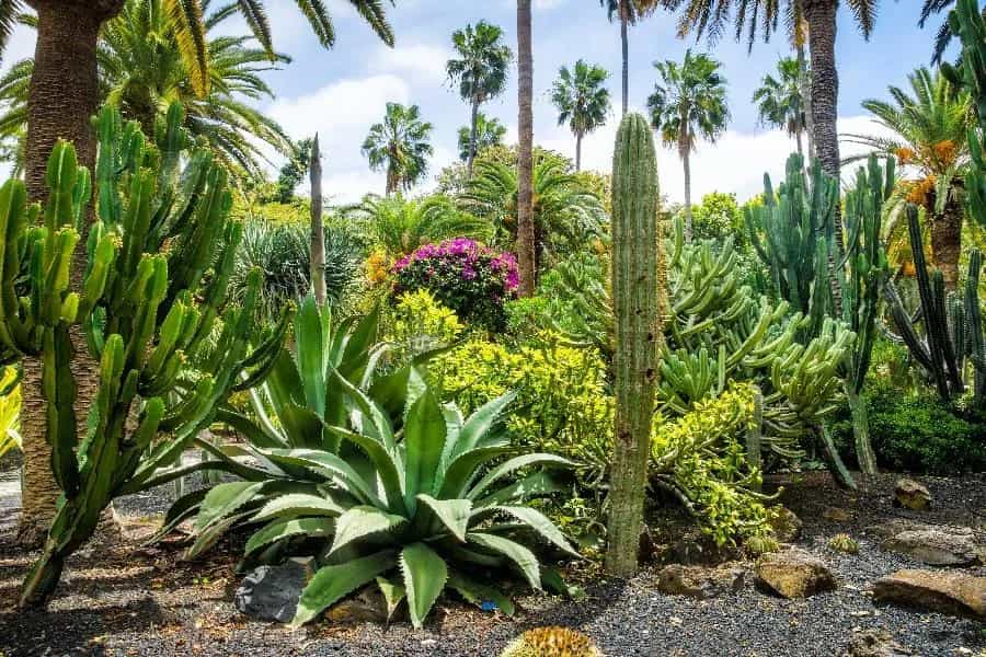 virtual landscaping newsbyte_draft 7.19.jpg