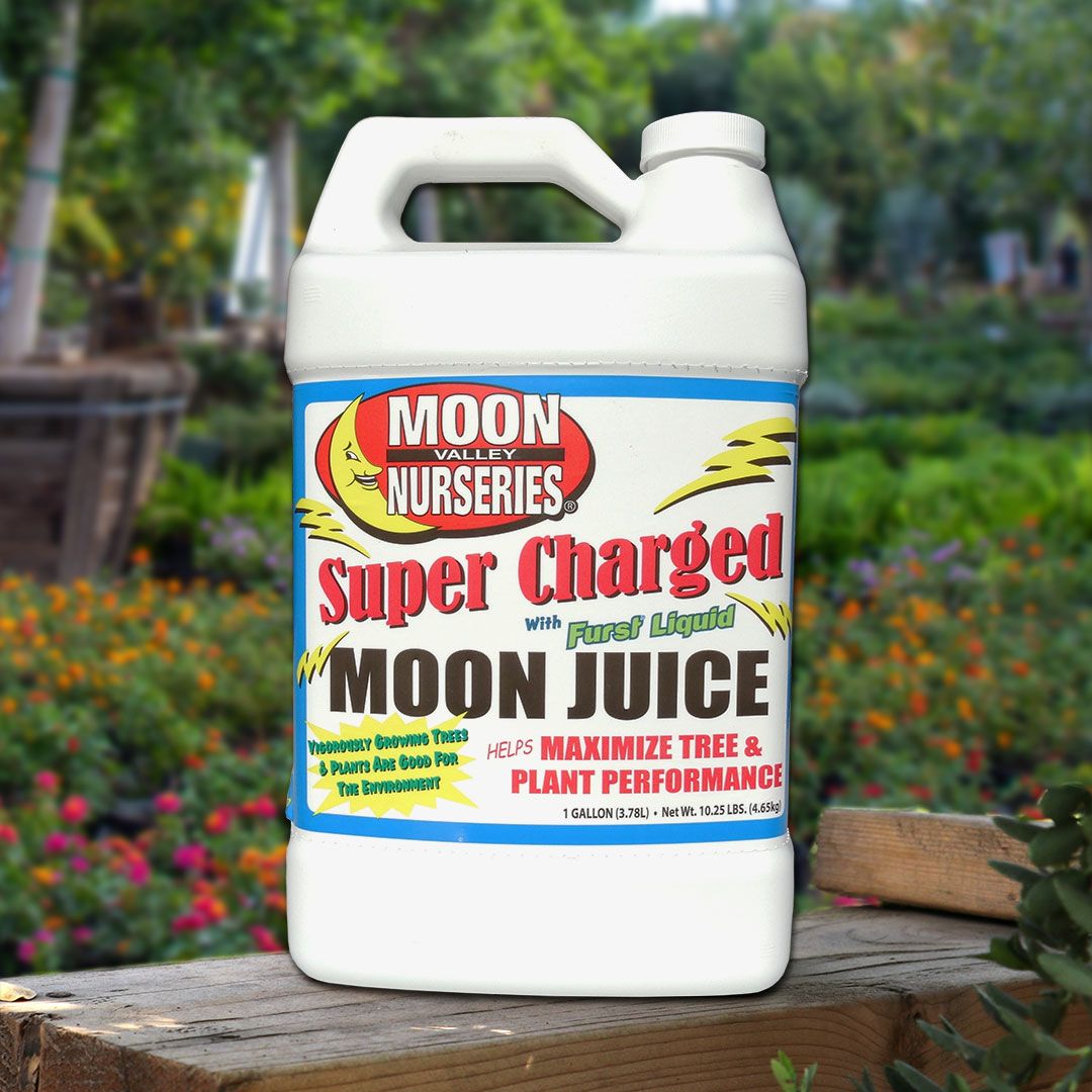 Deals SUPER CHARGED MOON JUICE®