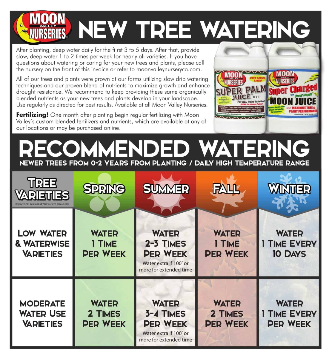 Watering New Trees Schedule