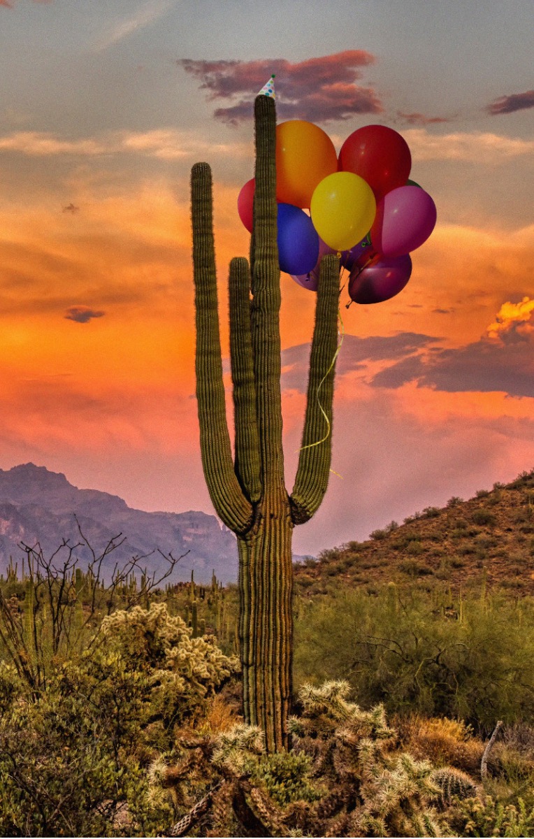 Desert Sunset - Mobile