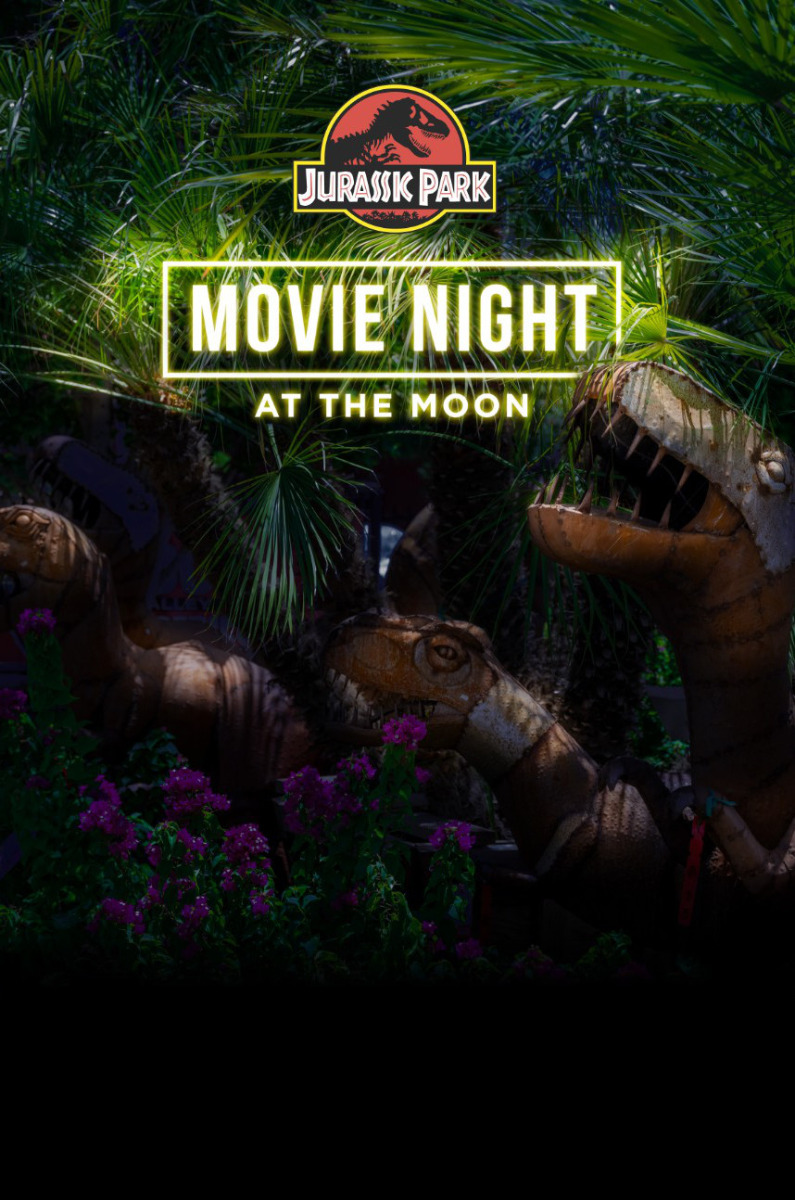 Movie Night - Small