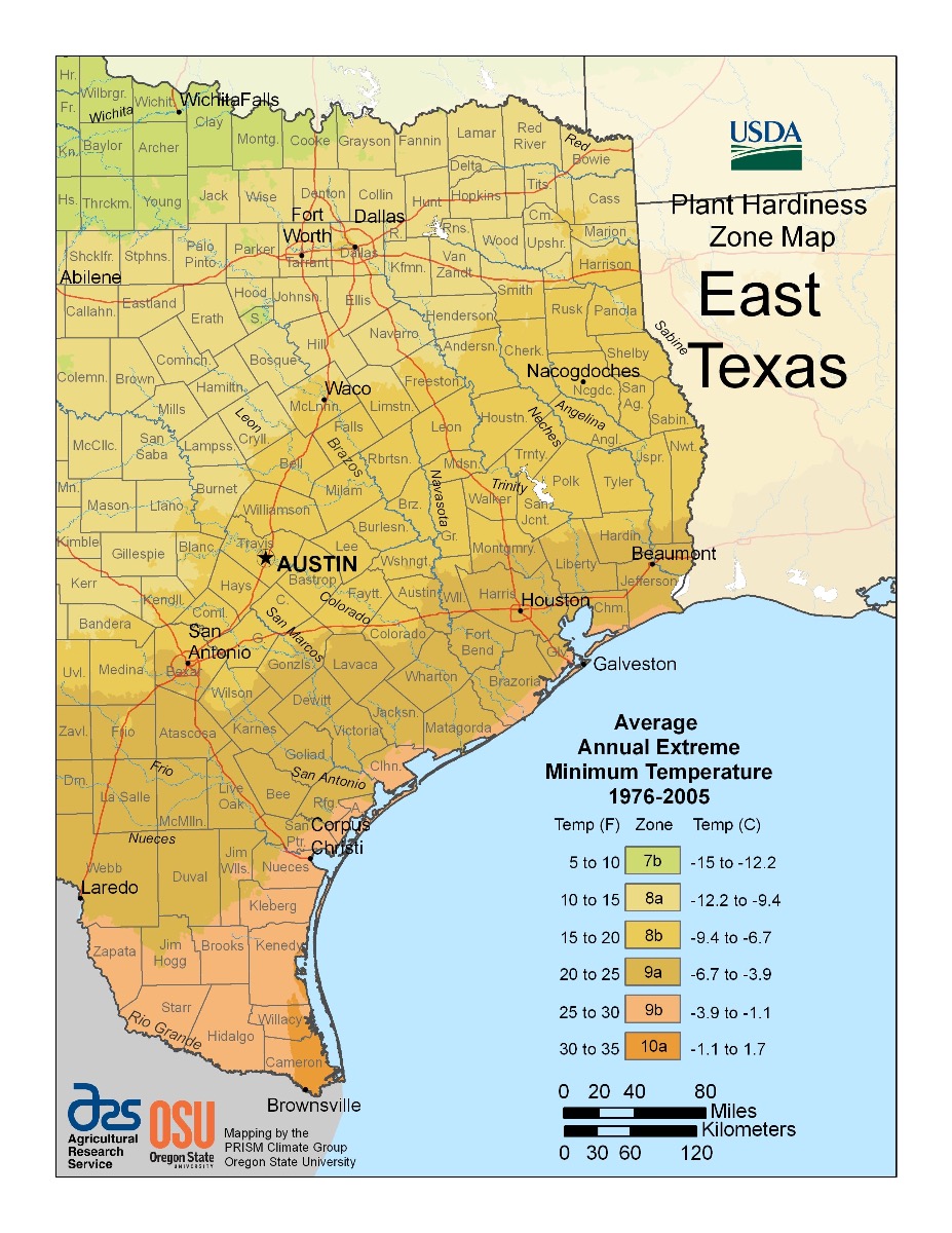 Eastern Texas